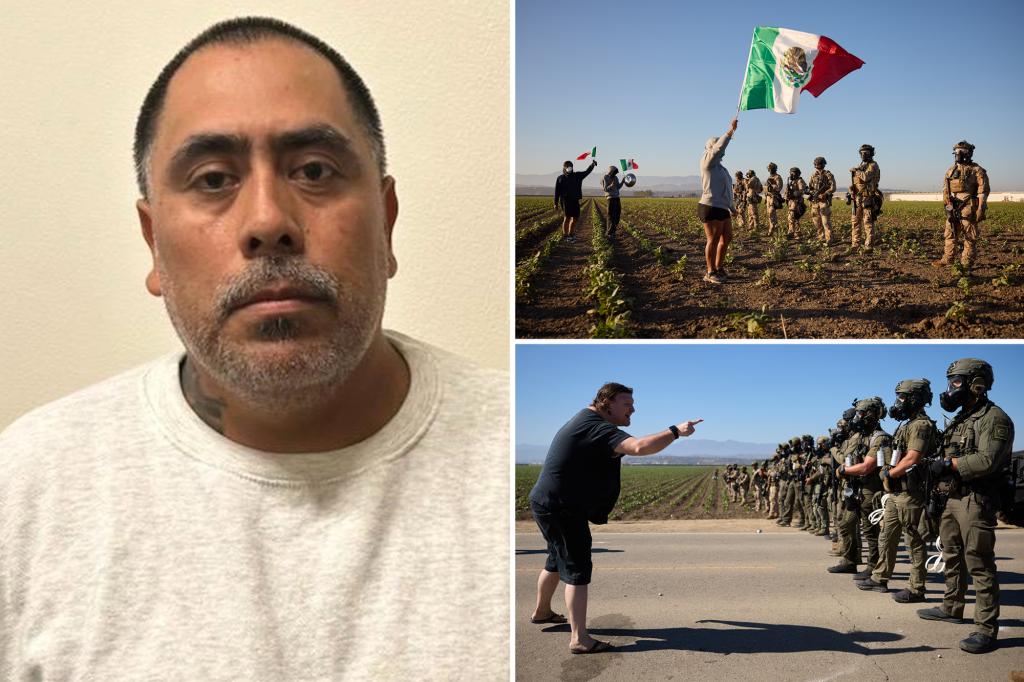 ice-raid-california-cannabis